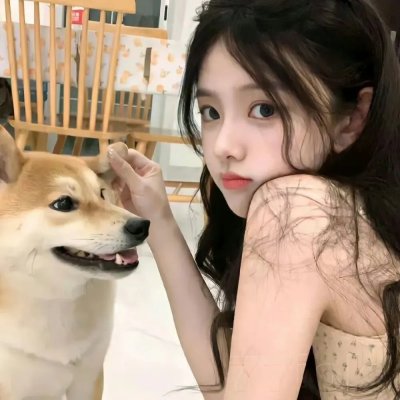 恐龙战队第一季